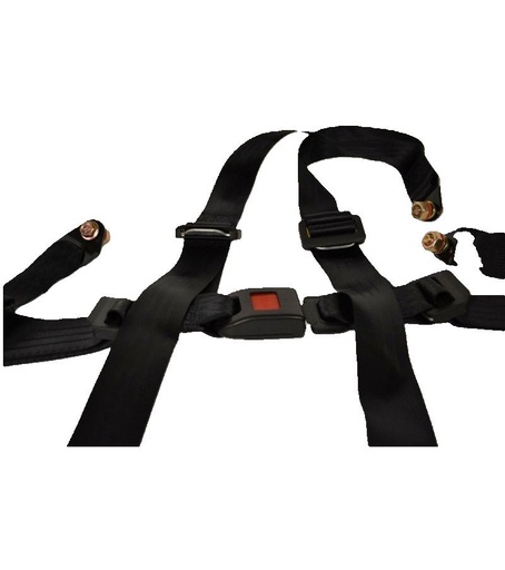 [FMO-5047] 4 punts veiligheidsgordel set L/R